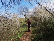 62 E siamo scesi al Canto Basso (900 m)
